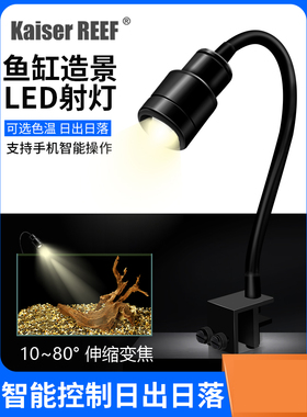 凯撒变焦日出日落鱼缸造景南美三湖雷龙原生溪流吉罗植物草缸射灯