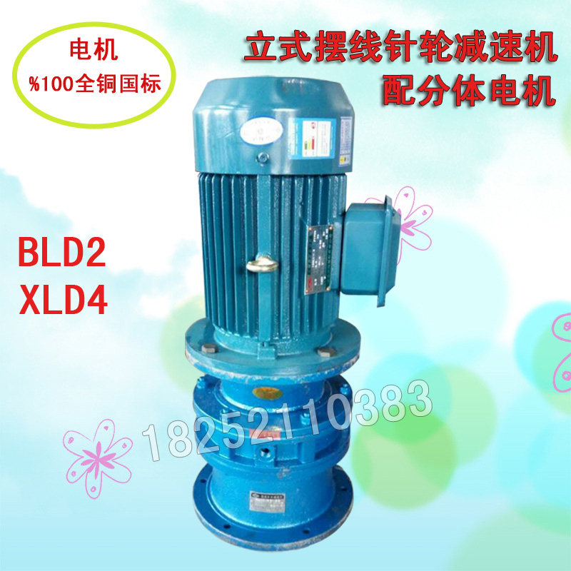 立式摆线针轮减速机电机 BLD2/XLD4-9/11/17/23-2.2KW 配件大全图片