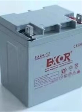 埃索EXOR蓄电池EX24-12V17AH24AH38AH65AH100AH55AH120AH电源EUPS