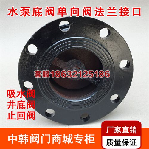 H42X-6法兰底阀 单向阀止回阀铸铁水泵底阀DN50 80 100 150 200