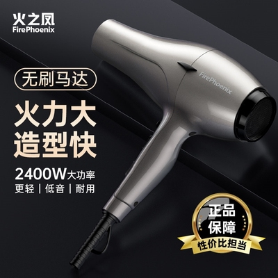 火之凤吹风机6600H理发店专用发