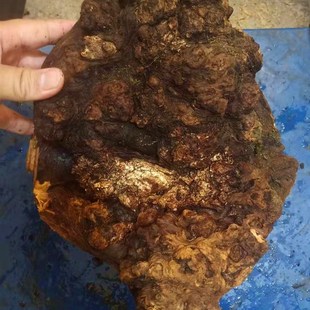 热销琥珀木松明子北沉香原木料雕刻练手火焰纹闪电纹手串料摆件朽