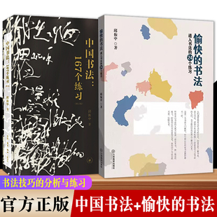 2册 愉快的书法 进入书法的24个练习+中国书法167个练习书法技法教材 笔法字结构章法书法创作基本技法 笔法章法字结构 书形态研究
