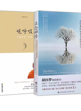 正念禅修+观呼吸 结合日常生活生命之书静的堂课西方内观大师教给我正念的方法佛教哲学佛学正念奇迹西藏生死书静心之巅冥想