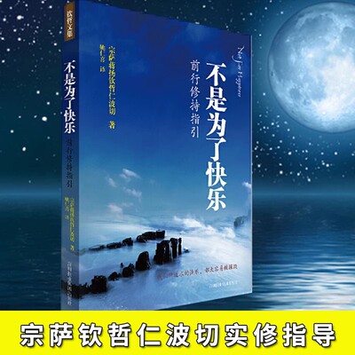 不是为了快乐前行修持指引 正见作者宗萨钦哲仁波切首部实修指导 宗教哲学知识读物 佛法修持身心灵修养正能量书籍