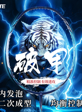 羽毛球拍正品全碳素4U专业级攻守兼备型内发泡弓箭11PRO同款框形