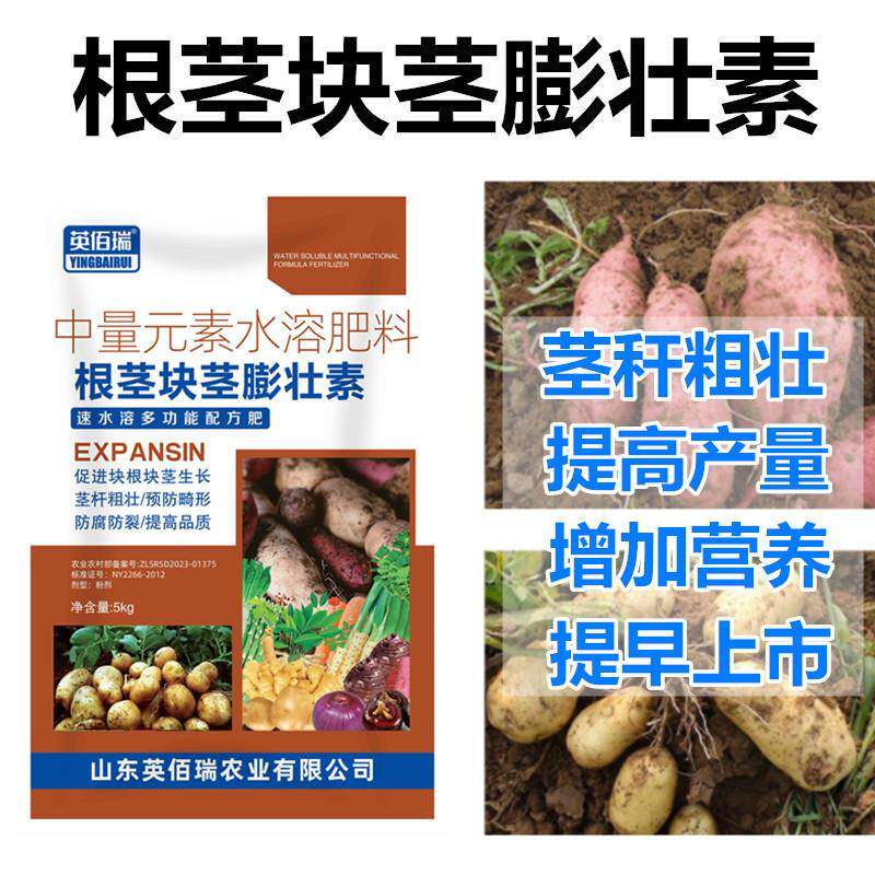 地下猛长根茎专用膨大素红薯土豆萝卜肥料莴苣人参大蒜生姜营养液