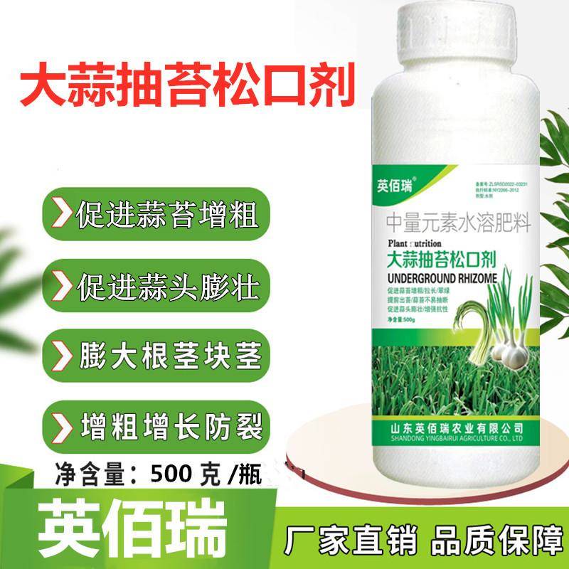 大蒜抽苔膨大高产剂提前抽苔促进松口增产拉长蒜头抗病增加叶绿素