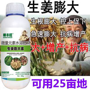 大姜生姜专用叶面肥膨大素膨大剂大姜膨大增产生根壮苗大姜肥料