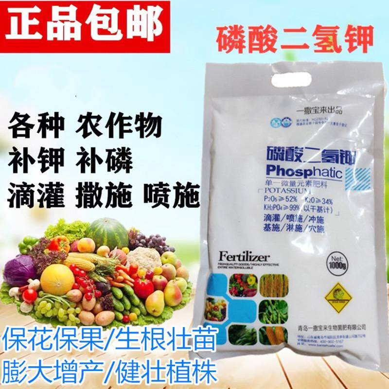 磷酸二氢钾正品花卉三角梅开花专用肥料果树叶面肥家用兰花盆栽