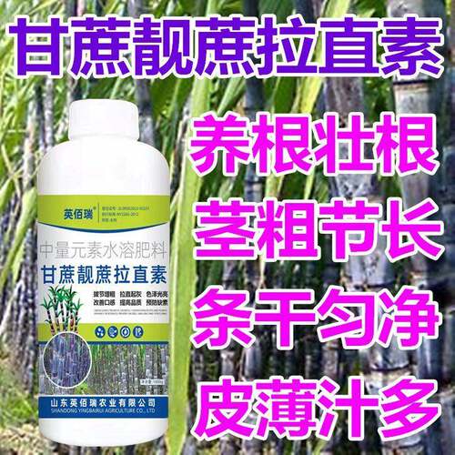 甘蔗专用药 壮丰素 增粗拉长灵膨大增甜剂抗倒拔节药甘蔗叶面肥
