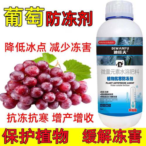 葡萄防冻液葡萄抗冻防寒剂葡萄专用药解冻害抗低温葡萄防冻剂叶肥