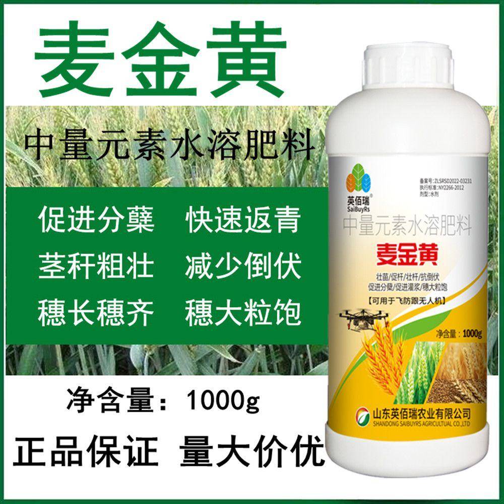 小麦增产叶面肥控旺分蘖抗倒伏生根剂返青籽粒粒套餐麦黄金水溶肥