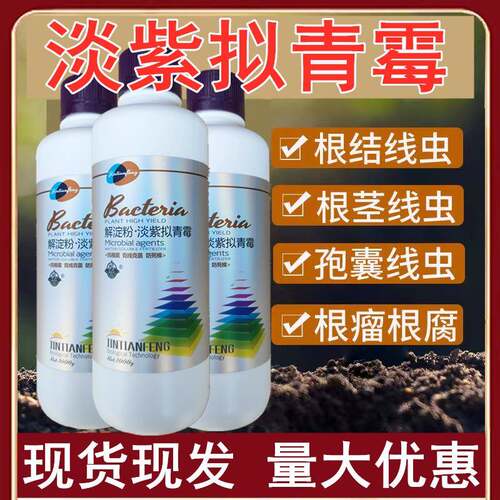 根腐病软腐病根腐快克专用微生物菌剂茎基腐根肿专用药淡紫拟青菌