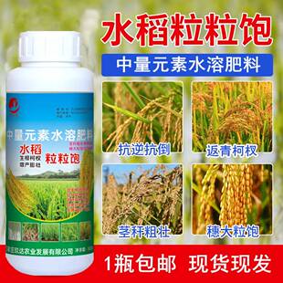水稻专用肥非复合肥高产分蘖药壮秧苗强根系膨大剂水稻防病叶面肥