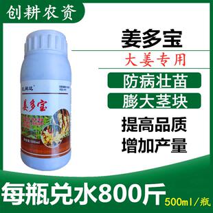 大姜生姜洋葱大蒜专用叶面肥生根壮苗膨大素剂氨基酸微量元素肥料