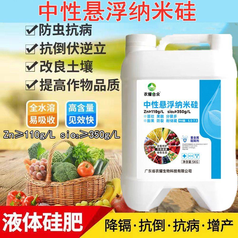 水稻专用液体硅肥促分蘖返青壮苗中性硅肥水溶肥增产抗倒伏叶面肥