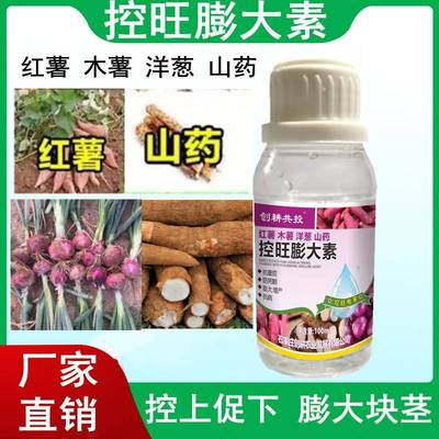 红薯控旺膨大素红著洋葱控旺剂甘薯红苕地瓜控旺专用药矮壮增产剂