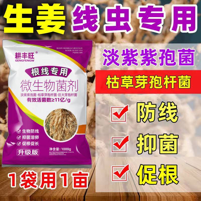 大姜根结线虫专用药大姜线虫药淡紫紫孢菌枯草芽孢杆生姜线虫克星