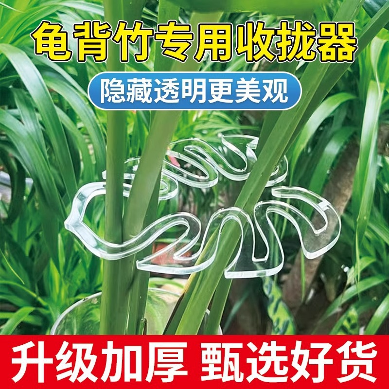 龟背竹支撑杆园艺花卉防倒伏春雨支架固定器绿植物水培植物支撑