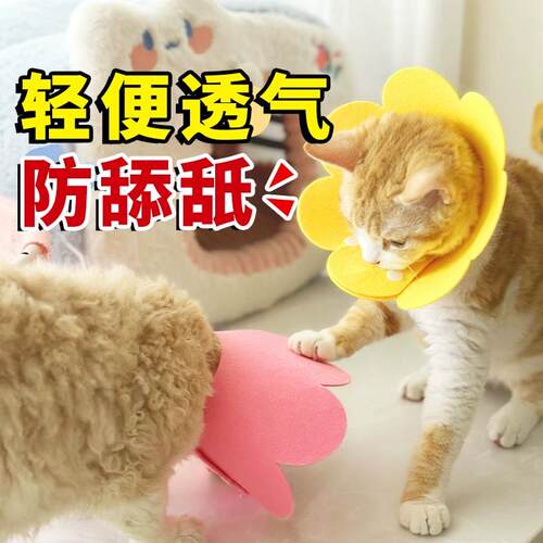 【猫咪伊丽莎白圈】绝育项圈伊利沙白圈防舔颈圈头套狗狗脖圈宠物
