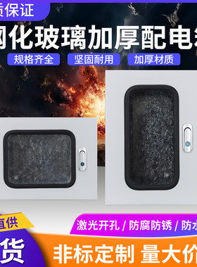 钢化玻璃可视窗配电箱透视仪表箱