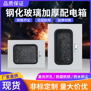 钢化玻璃可视窗配电箱挂墙式基业箱单门带透视窗仪表箱明装电控箱