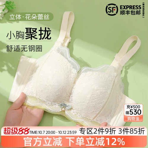 伊丝艾拉聚拢厚杯无钢圈文胸
