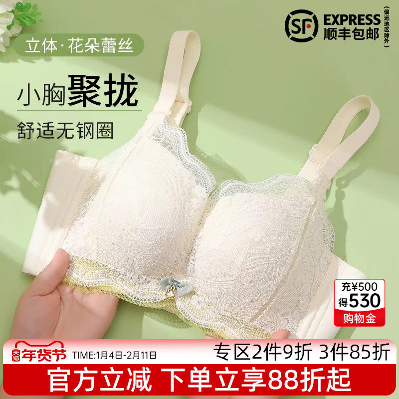 伊丝艾拉聚拢无钢圈文胸 春夏新品小胸调整型厚杯蕾丝收副乳内衣