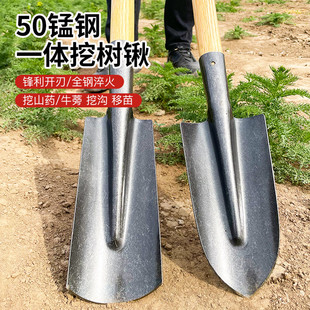 铁锹农用挖沟挖土挖山药尖头铲子户外挖树挖野菜小号铁锨方头钢锹