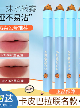 Colorkey珂拉琪水雾唇露唇釉哑光雾面丝绒卡皮巴拉不易沾杯B360