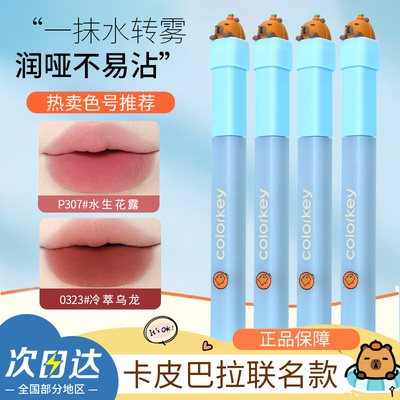 Colorkey珂拉琪水雾唇露唇釉哑光雾面丝绒卡皮巴拉不易沾杯B360