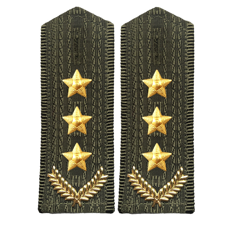 保安军绿色麦穗简章金色银色领花一星两星肩章物业工作服配件,户外/登山/野营/旅行用品,勋章/臂章/肩章/纪念章,淘宝优惠券,粉丝福利购,淘宝优惠卷