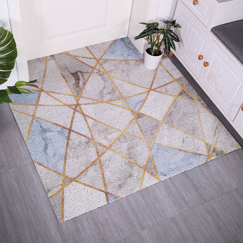 地垫进门丝圈脚垫门垫入户门门底垫客厅门口家用入户地毯地垫简约 - 绿浪家居旗舰店出品