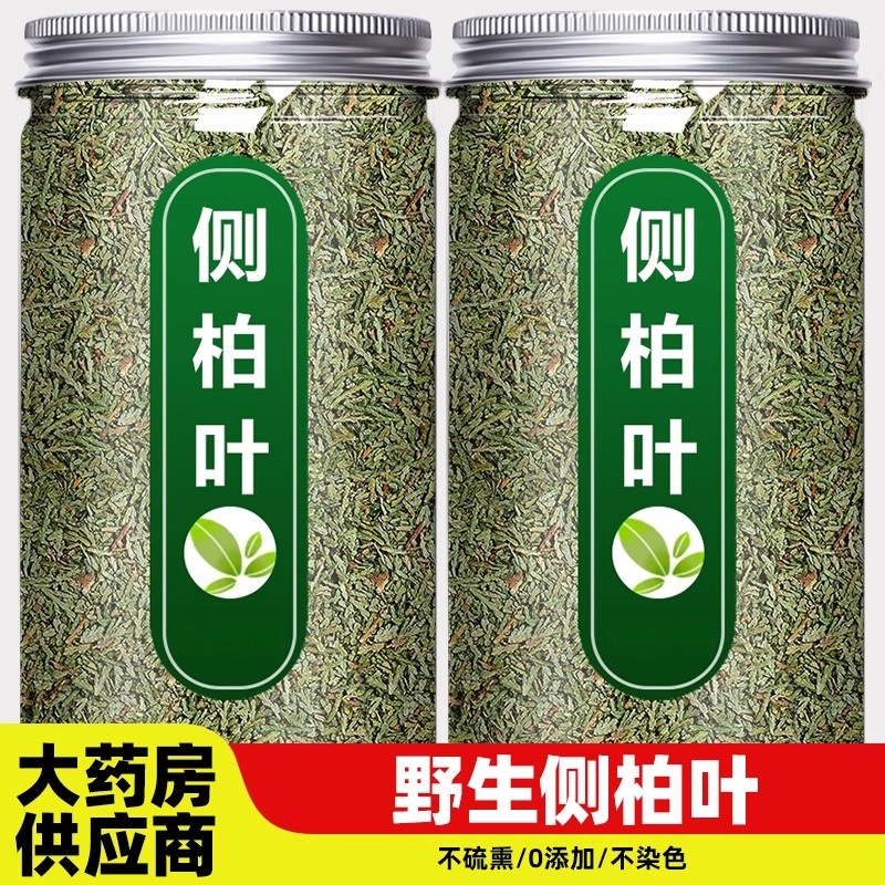 侧柏叶中药材扁侧伯叶干