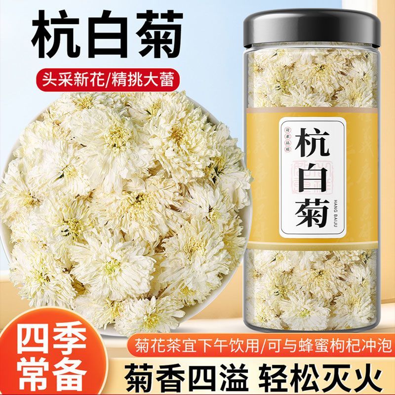 杭白菊中药材桐乡品清热排毒