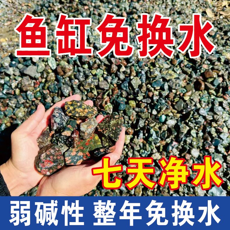 梅花玉(安山玉)鱼缸造景净水石头造景石头净化水质天然玉石铺底石