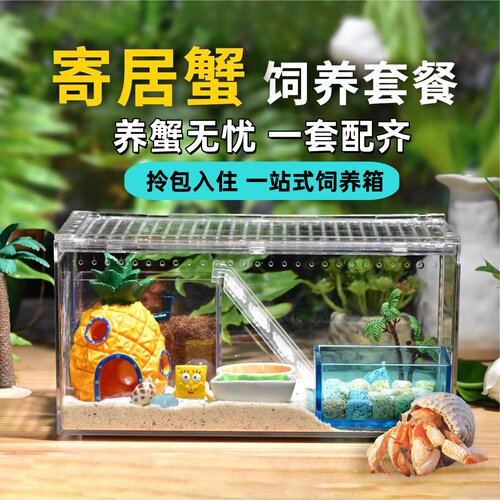 寄居蟹饲养箱豪华生态缸造景套装