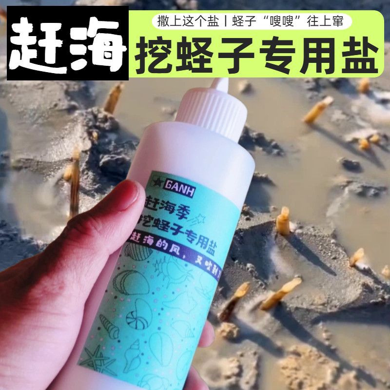 赶海工具套装挖蛏子专用盐高效捕捞耙子螃蟹挖土贝类儿童赶海工具