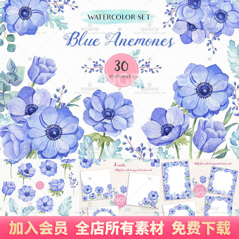 手绘水彩蓝色海葵花卉花束卡片边框png免扣婚庆海报装饰设计素材