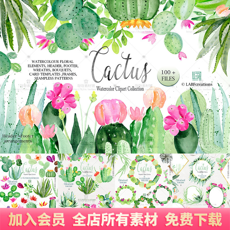 手绘水彩仙人掌多肉植物芦荟花卉花环边框模板PNG免抠设计素材