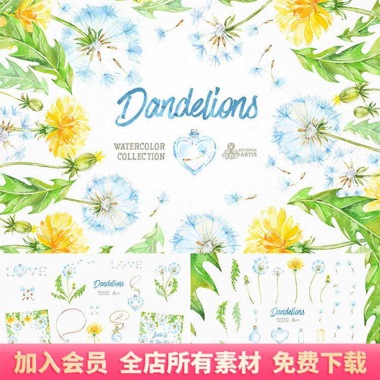 水彩手绘清新文艺蒲公英花卉插画手账元素png免扣设计素材