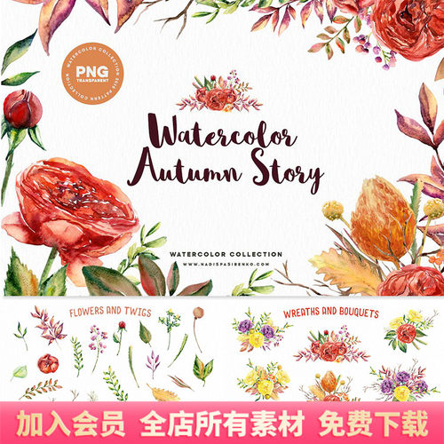 唯美秋天水彩花卉鲜花花束图案背景包装PNG免扣PS设计元素素材
