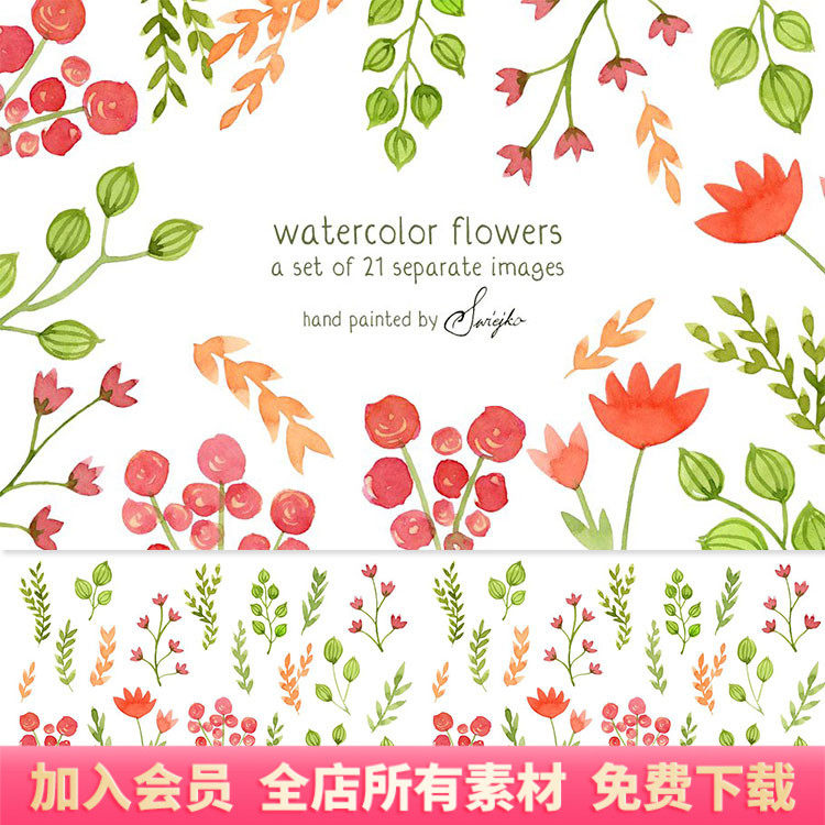 水彩手绘可爱花卉小草枝条png免扣设计素材ps元素图案背景