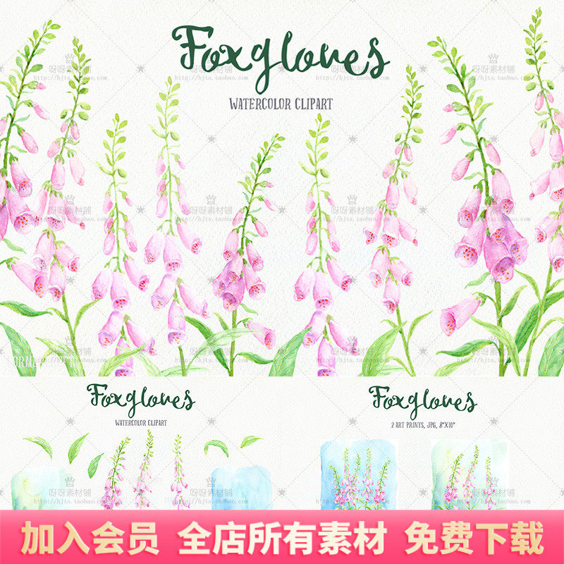 手绘水彩粉红色毛地黄花卉叶子墨迹png图片婚礼请柬贺卡设计素材