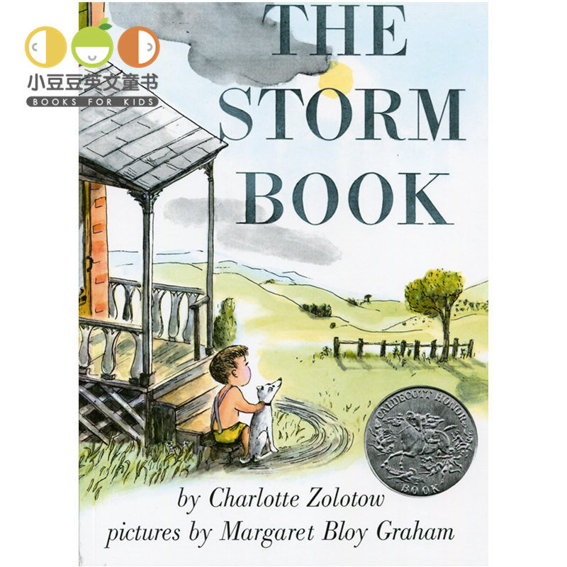 正版进口儿童英文原版绘本 the storm book 暴风雨中的孩子 4-8岁