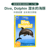 Geographic Kids 儿童科普图书 入门级 Chapter National Dolphin Dive 美国国家地理儿童英语分级读物 潜水 海豚
