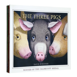 绘本大师 David Wiesner 凯迪克大奖作品 大卫威斯纳系列 五册套装