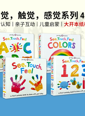 See Touch Feel 英文原版绘本触觉视觉嗅觉感官认知触摸书 A First Sensory Book幼儿童早教启蒙英语读物亲子互动游戏书内附小镜子