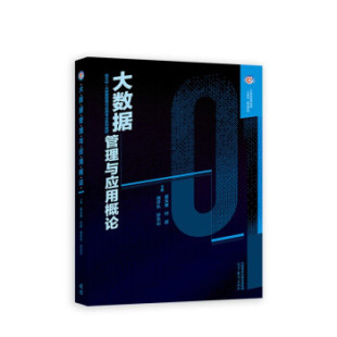 正版 大数据管理与应用概论 姜元春 付超 周开乐 孙见山 著 高等教育出版社 9787040588903